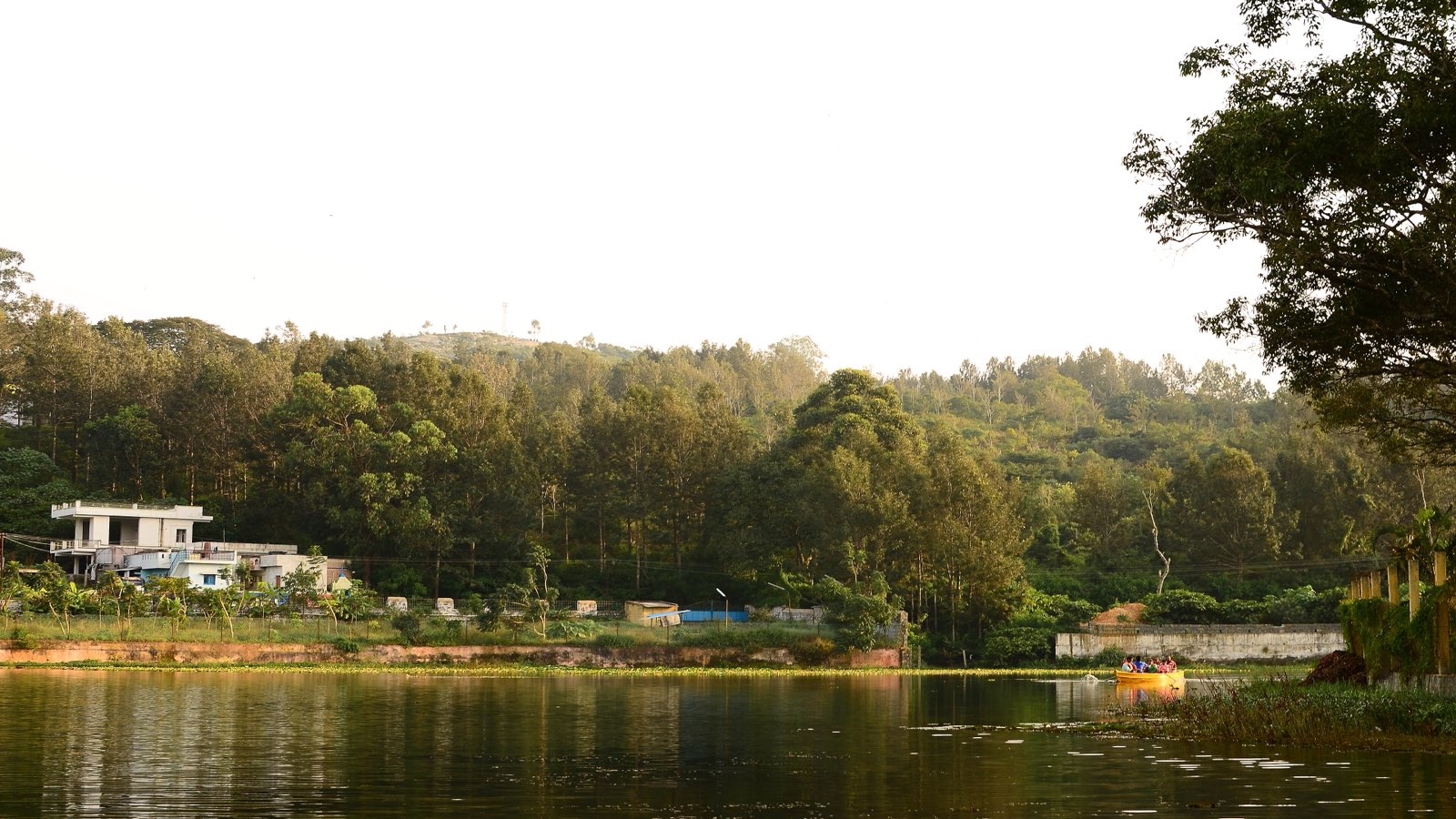 A rowing boat on calm Yercaud lake, with tall trees and a wooded hill behind