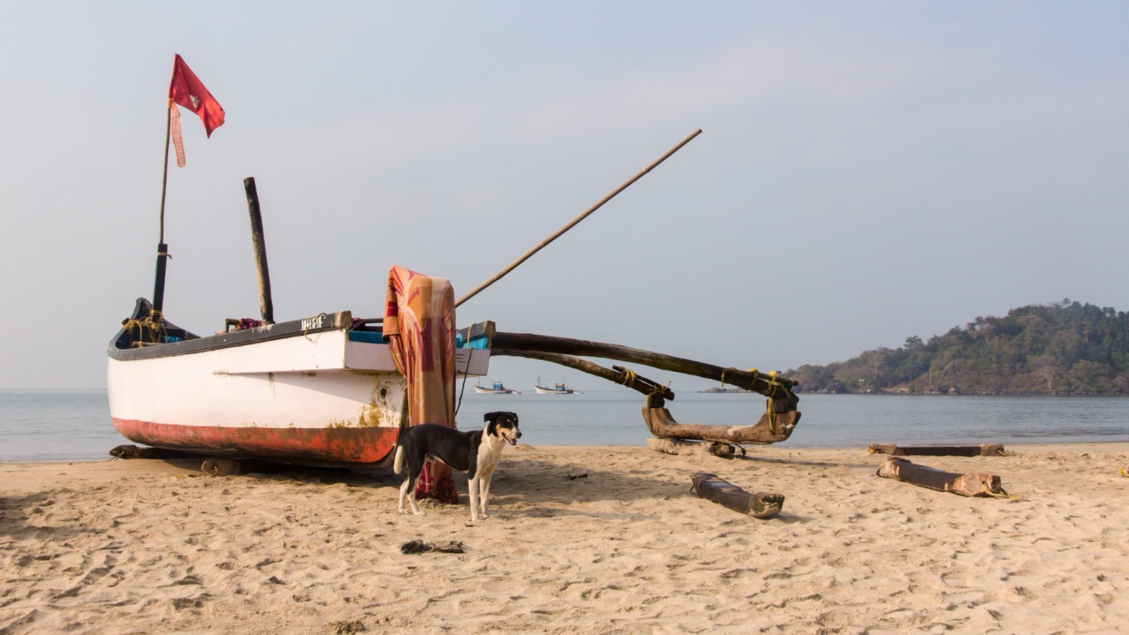 A white wooden fishing boat with a red flag pulled up on the sand at Palolem, a dog beside it and a wooded headland across the bay