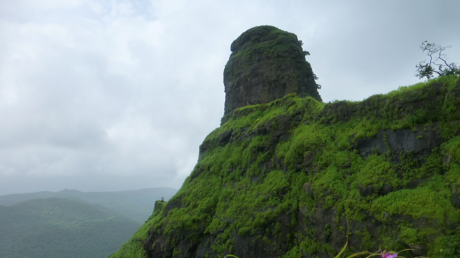 The tall basalt pinnacle of Karnala Fort rising above a green, moss-covered ridge under monsoon clouds