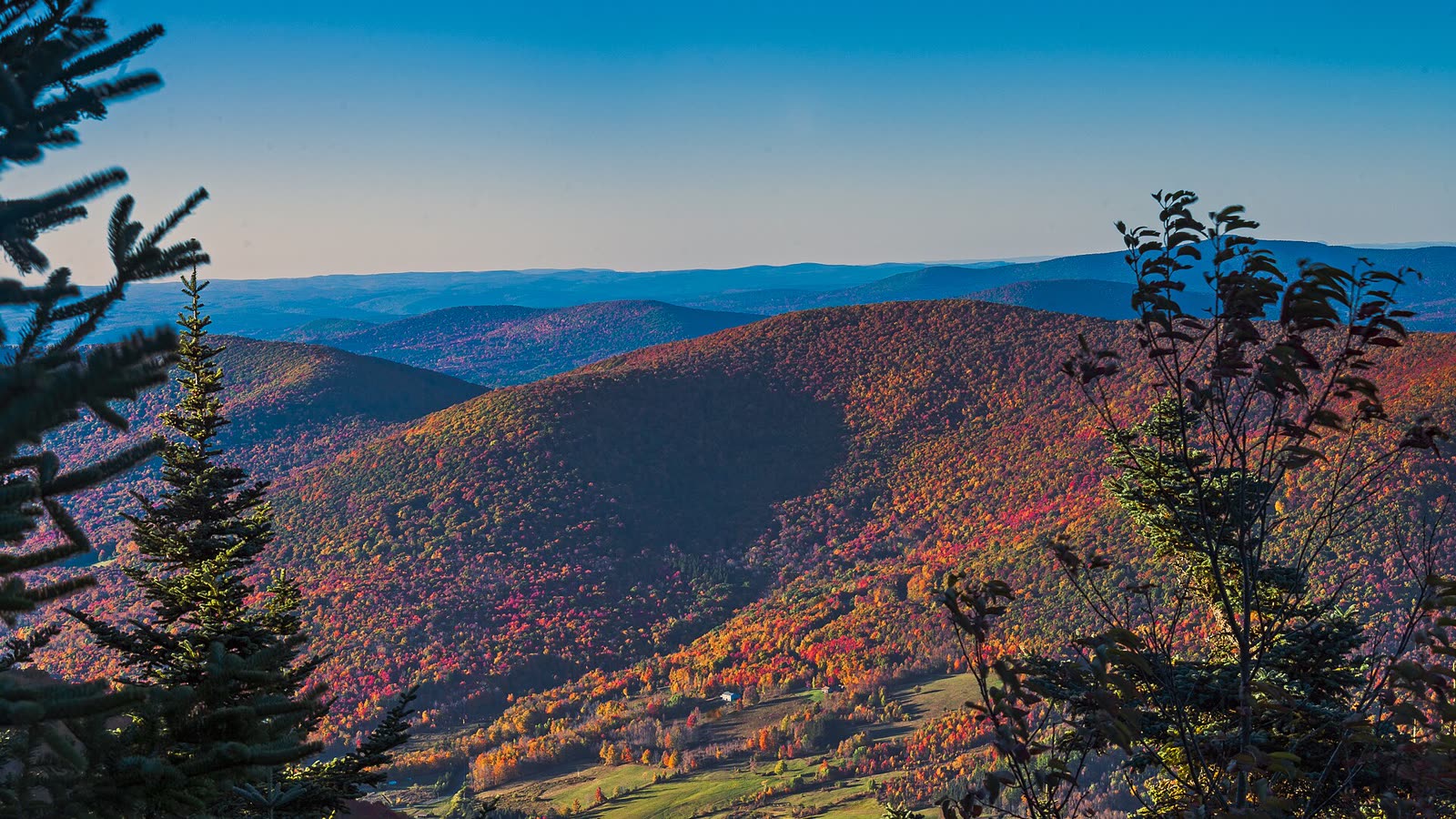 Rolling Catskill mountains covered in autumn colour under a clear blue sky