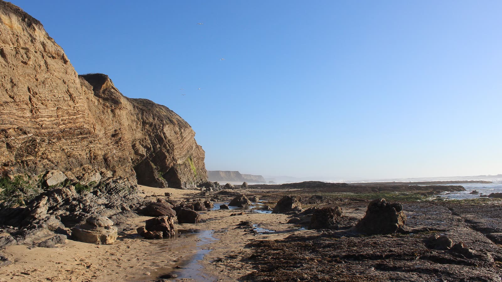 Sandstone cliffs above a rocky beach at low tide under a clear blue sky