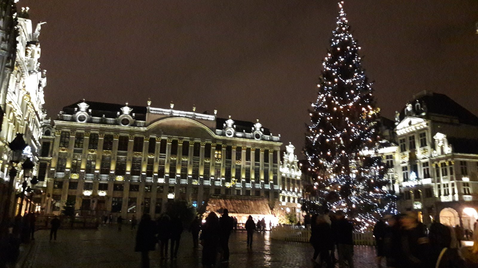 A tall Christmas tree covered in white lights on the Grand-Place in Brussels at night, beside the lit guild houses