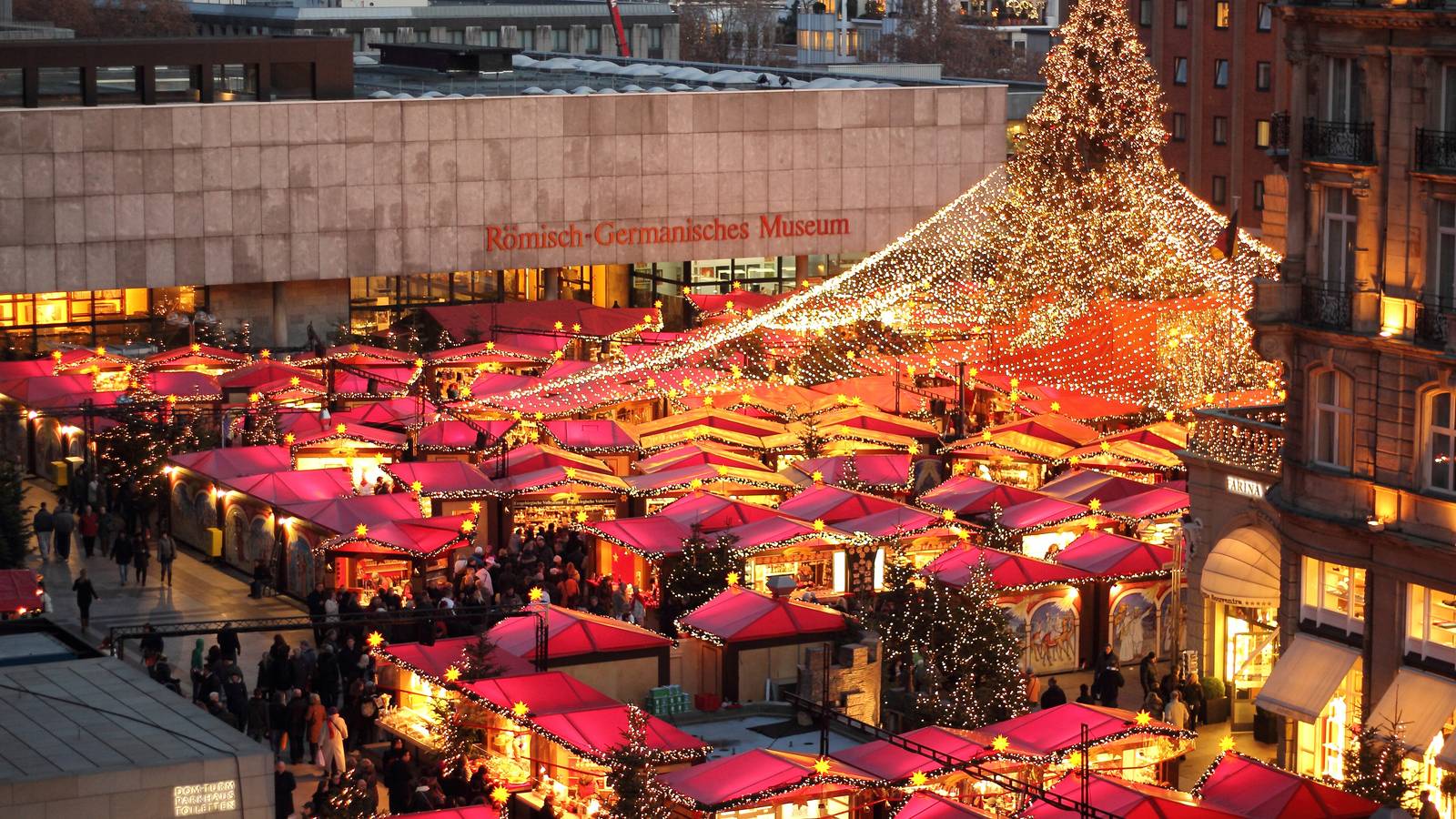 Rows of red-roofed Christmas market stalls lit up at dusk below a tall lit tree on Roncalliplatz in Cologne